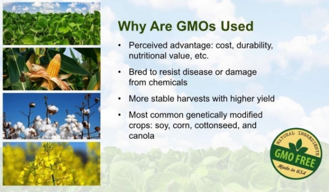 Why Are GMO's Used?